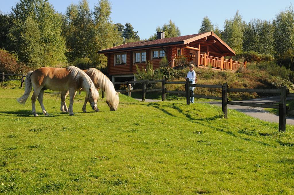 Hotelanlage Country Lodge อาร์นส์แบร์ก ภายนอก รูปภาพ